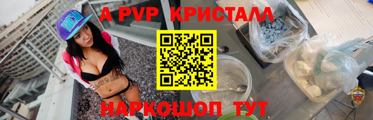 Alfa_PVP СК Хасавюрт