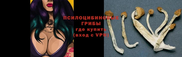 прущие крисы Куйбышев