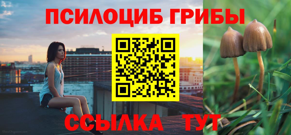 Псилоцибиновые грибы Cubensis Хасавюрт