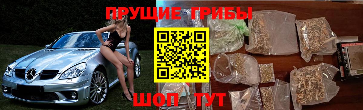 Псилоцибиновые грибы мухоморы  Хасавюрт 