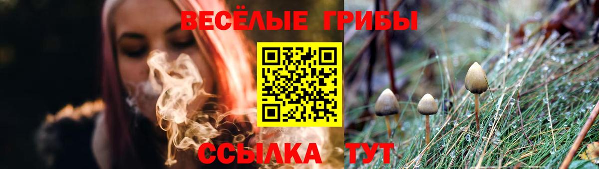 Галлюциногенные грибы Cubensis  купить закладку  Хасавюрт  Вход с VPN 