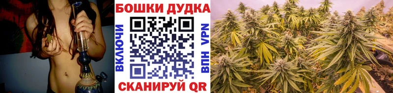 Конопля Ganja  Хасавюрт 